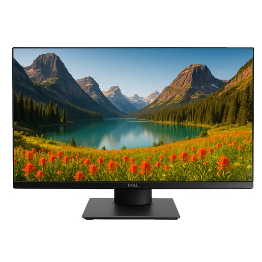Dell Professional Monitor P2319H | 23 inch | 60Hz | IPS | Full HD | Grade A